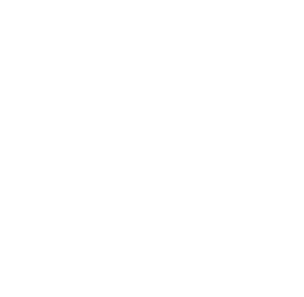 White logo - n1o background copy